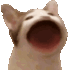 Bwop